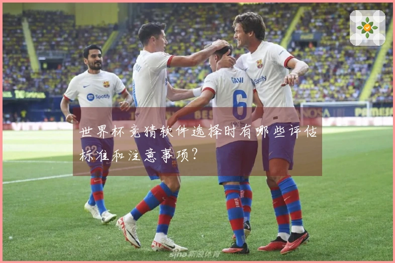 世界杯竞猜软件选择时有哪些评估标准和注意事项？
