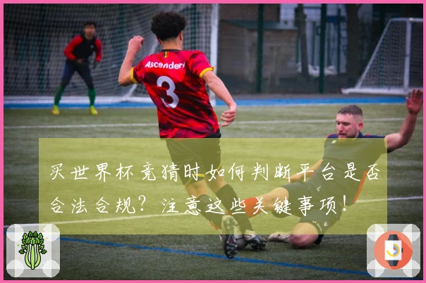 买世界杯竞猜时如何判断平台是否合法合规？注意这些关键事项！
