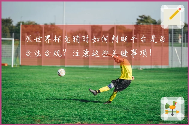 买世界杯竞猜时如何判断平台是否合法合规？注意这些关键事项！